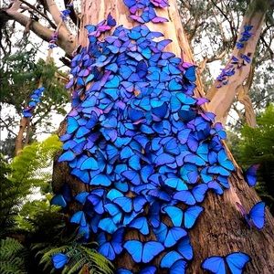 Meet your Posher, Nyci!